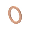 DDE N007603017101 SEAL RING