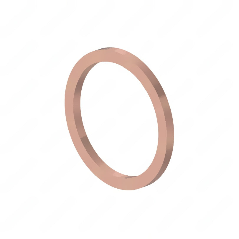 DDE N007603018101 SEALING RING - GENERAL PURPOSE