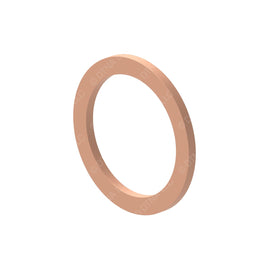 DDE N007603026109 SEAL RING