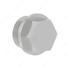 DDE N007604018109 SCREW PLUG