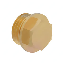 DDE N007604022107 SCREW PLUG