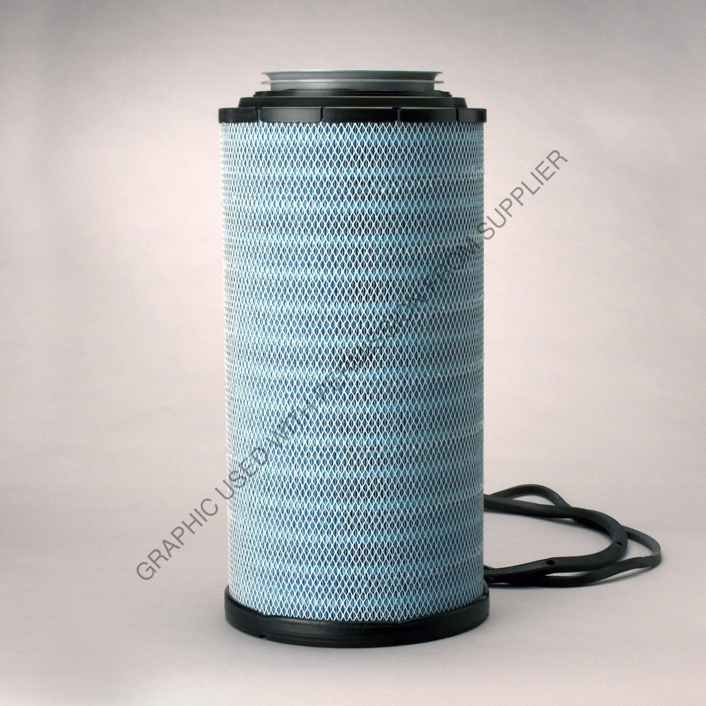 DN  DBA5295 FILTER - AIR, PRIMARY RADIALSEAL BLUE