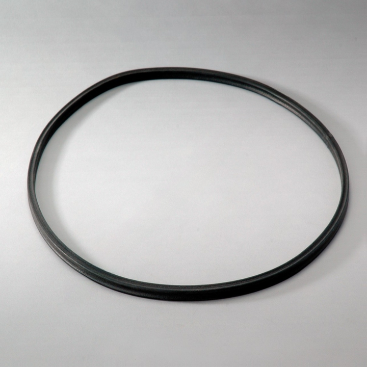 DN  P016972 GASKET KIT