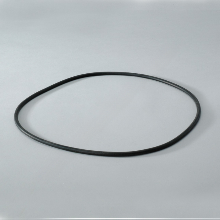 DN  P017335 O-RING