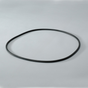 DN  P017335 O-RING