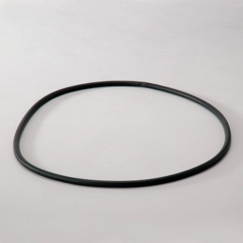 DN  P017568 O Ring