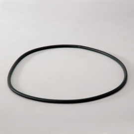 DN  P017568 O Ring