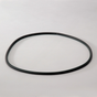 DN  P017568 O Ring