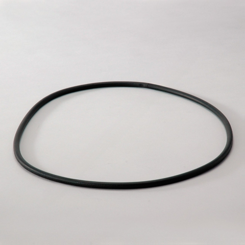 DN  P017568 O Ring