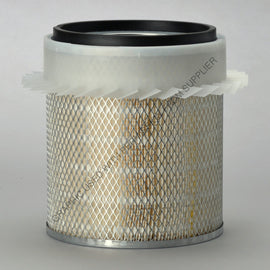 DN  P182035 AIR FLTR