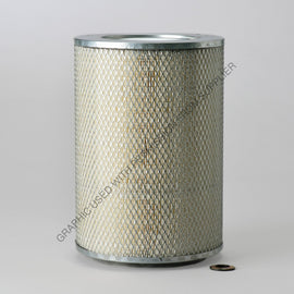 DN  P182080 AIR FLTR