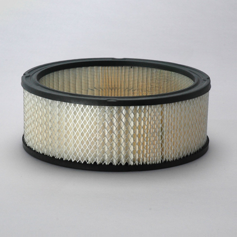 DN  P524351 FLTR AIR GAS