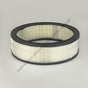 DN  P524373 AIR FILTER