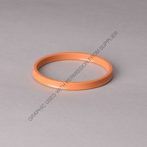 DN  P567428 GASKET