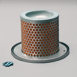 DN  P783501 AIR FILTER