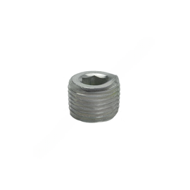 DVC 020909 PLUG