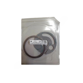 ESP 2018209900010Z SEAL BURNER D4/D5 HYDRONIC