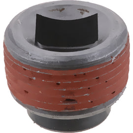ETN 054254 PLUG MAGNETIC