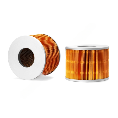 FG  AF25567 AIR FILTER