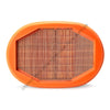 FG  AF26248 AIR FILTER