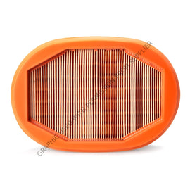 FG  AF26248 AIR FILTER