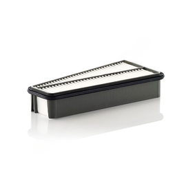FG  AF4227 FILTER, AIR PANEL