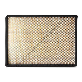 FG  AF55787 AIR FILTER