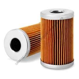 FG  FF251 FUEL FILTER