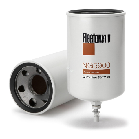 FG  NG5900 NATURAL GAS FILTER