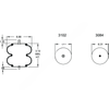 FI  W01 358 6886 AIR SPRING