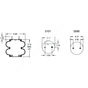 FI  W01 358 6908 AIR SPRING