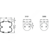 FI  W01 358 6943 AIR SPRING