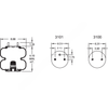 FI  W01 358 6948 AIR SPRING