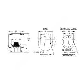 FI  W01 358 9096 AIR SPRING