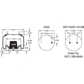 FI  W01 358 9376 AIR SPRING