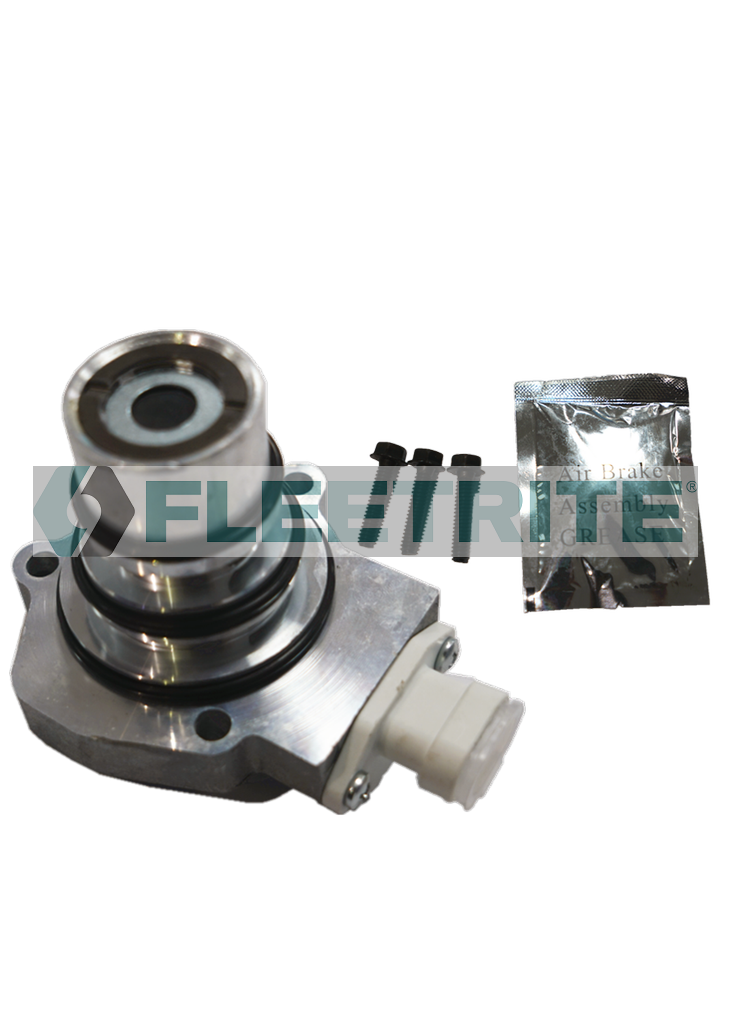 FLTBV4341 FLEETRITE PURGE VALVE