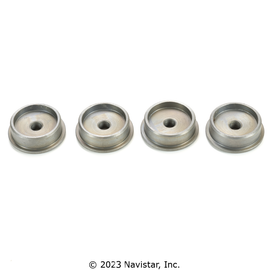 FLTRLKPCAP6 KING PIN CAP