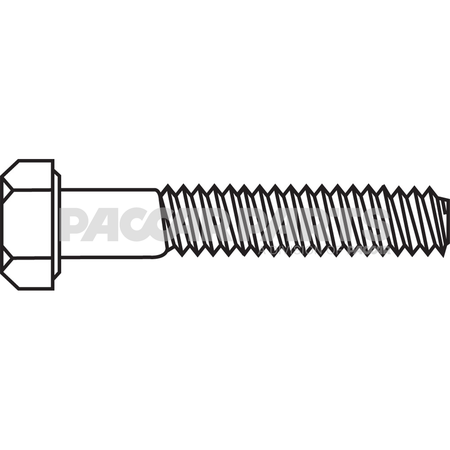 HWC01097 BoltHex M8125X30 Ss Pln