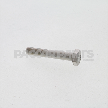 HWC04464 BoltHex M6100X20 Ss Pln