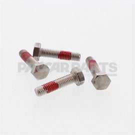 HWC04498 BoltHex Sl Nyl M6100X25 Ss Pol