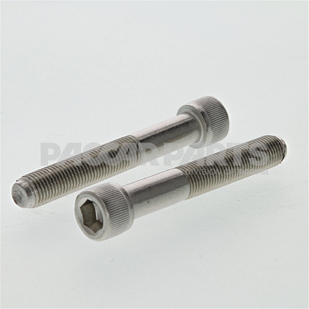 HWC06146 ScrewCap Cylnd Skt 3824Nfx212 Ss