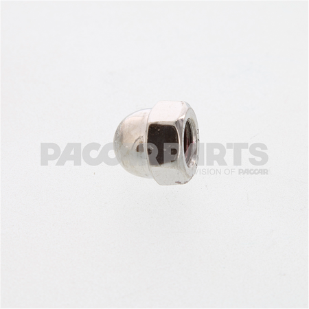 HWC07004 NutAcorn 3816Ncx0620H Ss
