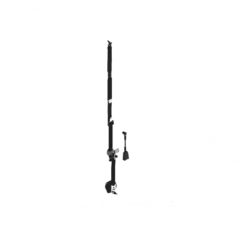 IMM F155553 SEATBELT-M2,DMS C-2 PSGR,NS