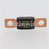 MEG100 FuseMega 100Amp