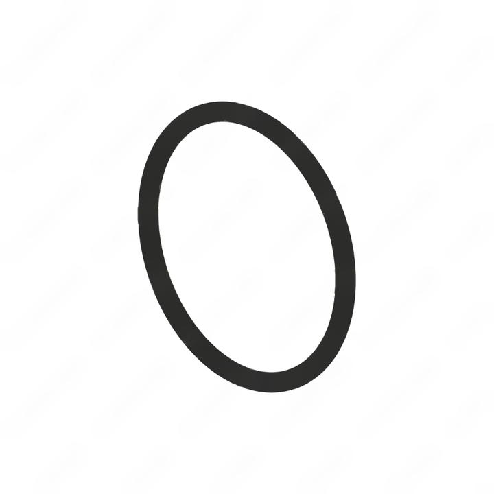 MMH MVG65 1010 O-RING 54X3