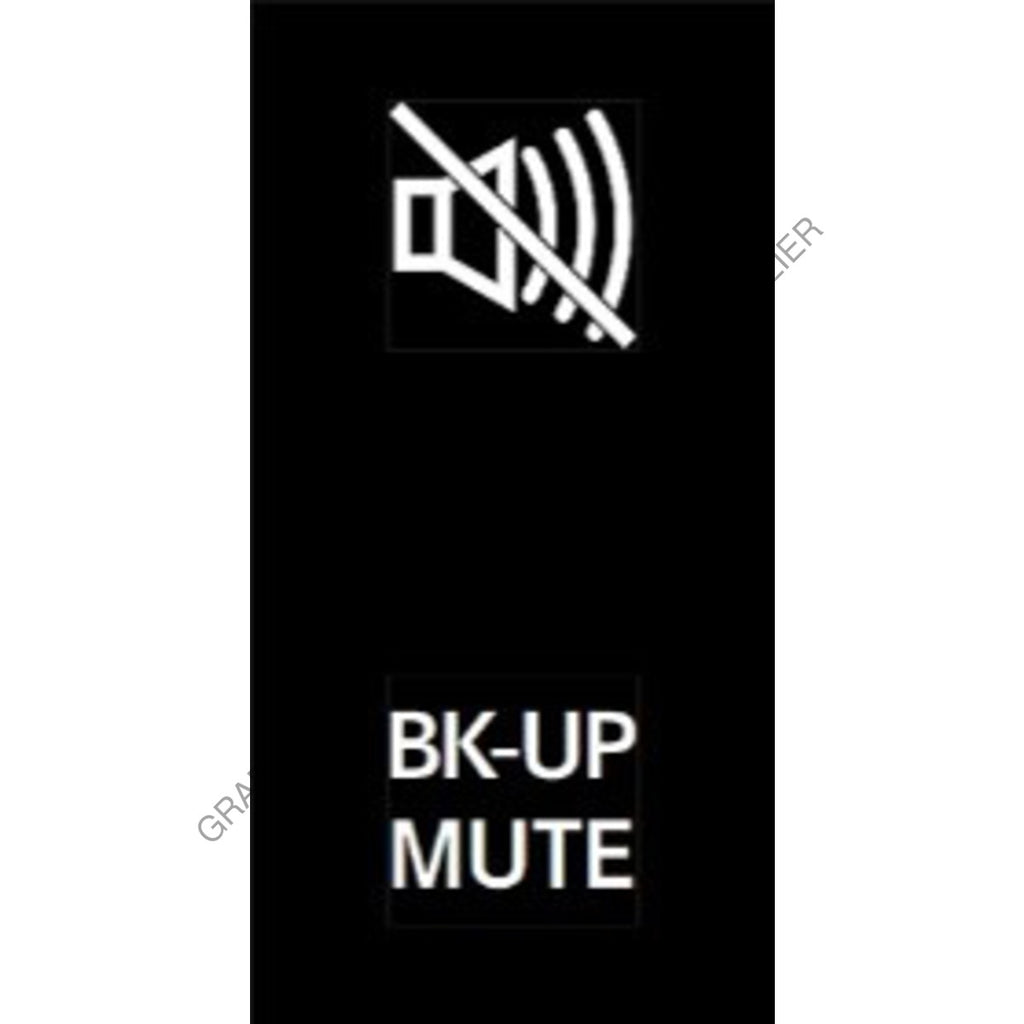 MQT 12G0011 RCKR-W4,2POS,BK-UP MUTE