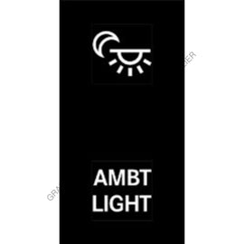 MQT 22G0002 RCKR-M2,2POS,AMBT LIGHT