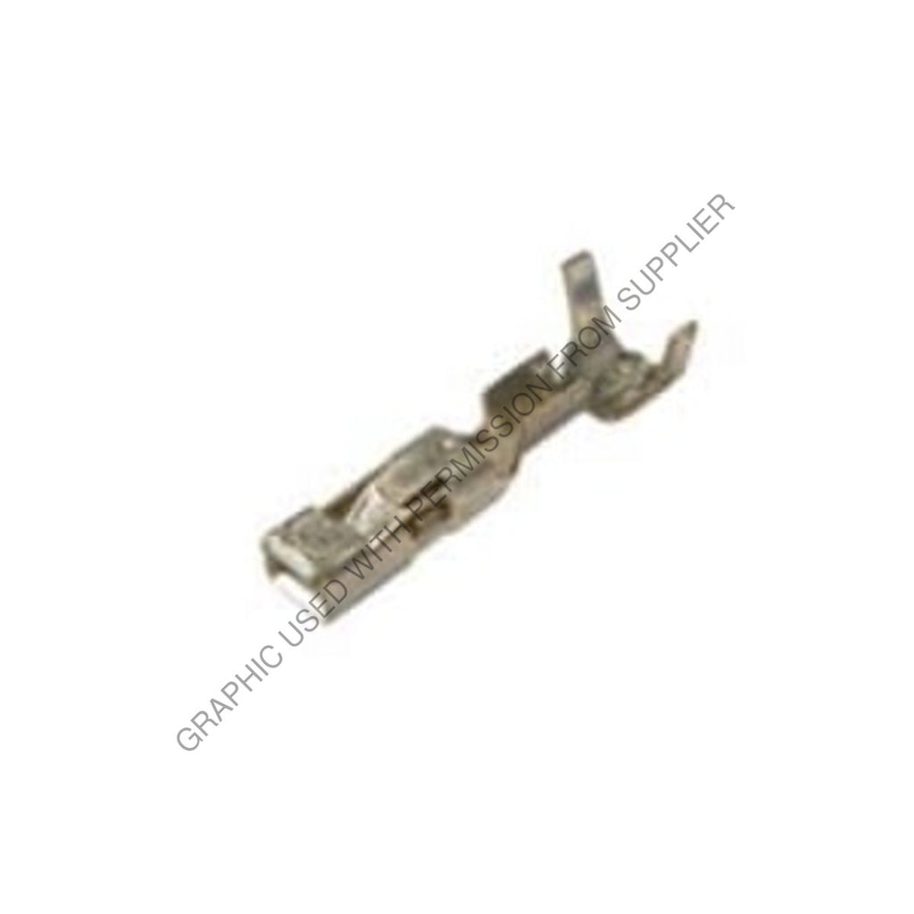 PAC 15304719 L TERM FEM