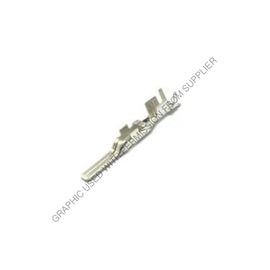 PAC 15304731 L TERM MALE