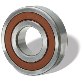 SBN 306SZZNTN BEARING-PILOT